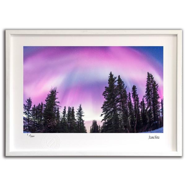 ŉ G sNI[001 AXJ xc G Ǌ| Ǐ CeA G  A[gpl |X^[ G z rO 