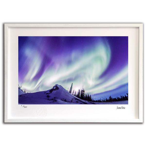 ŉ G I[uCNAbv001 AXJ xc G Ǌ| Ǐ CeA G  A[gpl |X^[ G z rO 