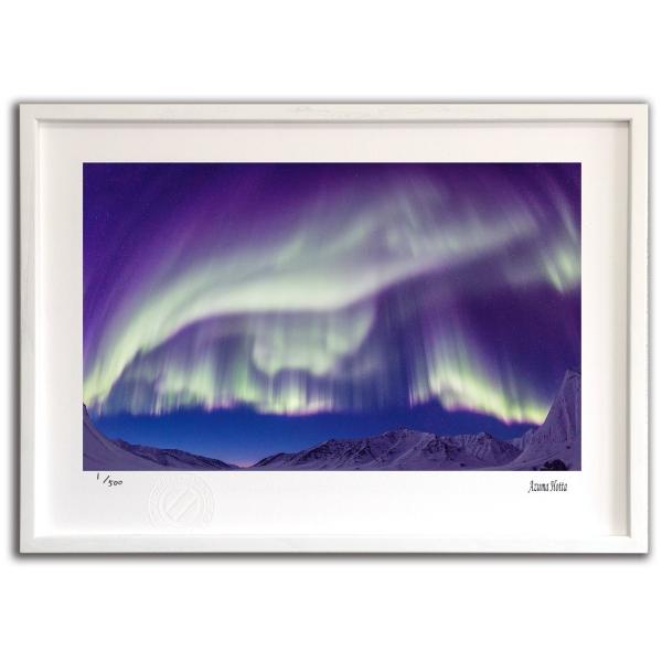 ŉ G I[ƎR003 AXJ xc G Ǌ| Ǐ CeA G  A[gpl |X^[ G z rO 