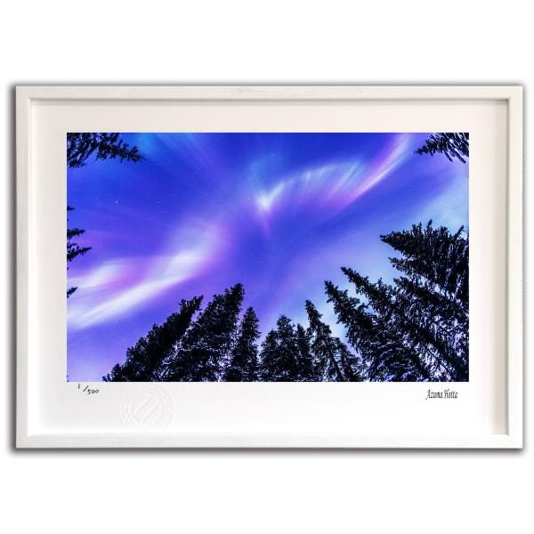 ŉ G I[Ɩ؁X002 AXJ xc G Ǌ| Ǐ CeA G  A[gpl |X^[ G z rO 