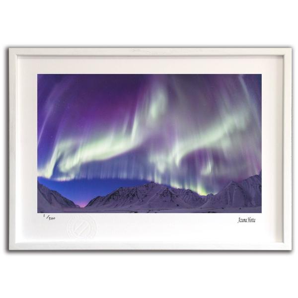 ŉ G I[ƎR004 AXJ xc G Ǌ| Ǐ CeA G  A[gpl |X^[ G z rO 