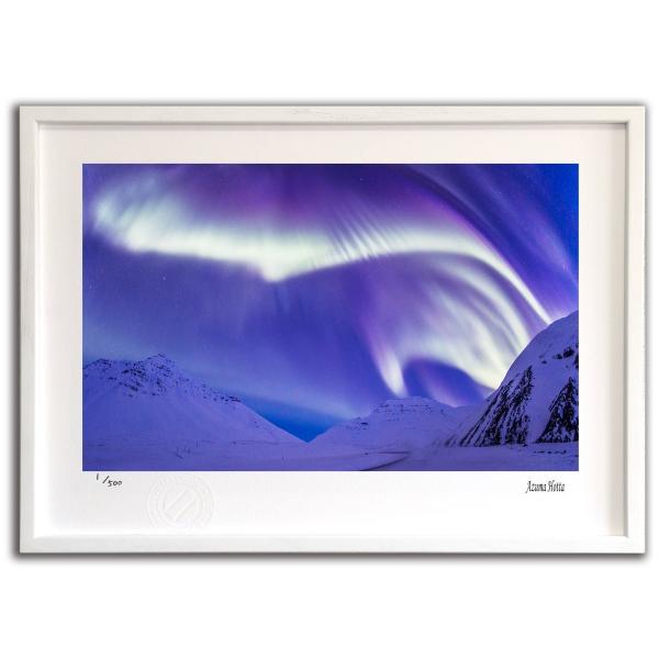 ŉ G I[ƎR005 AXJ xc G Ǌ| Ǐ CeA G  A[gpl |X^[ G z rO 