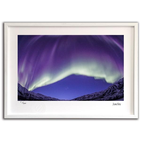 ŉ G I[ƎR006 AXJ xc G Ǌ| Ǐ CeA G  A[gpl |X^[ G z rO 