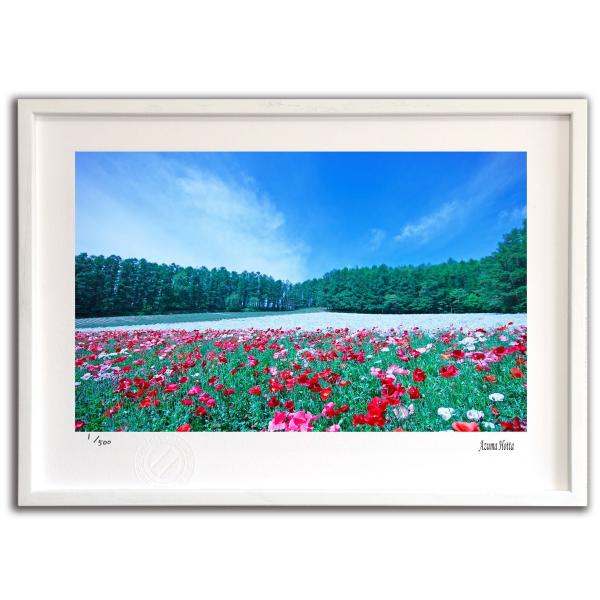 壁掛け 絵画 桜皮細工（かばざいく）市松 樺細工 壁飾り