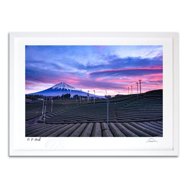 ŉ G ݂_ƒxm xmR CeA Ǌ| i G A[g A[gpl rO  v[g _ 