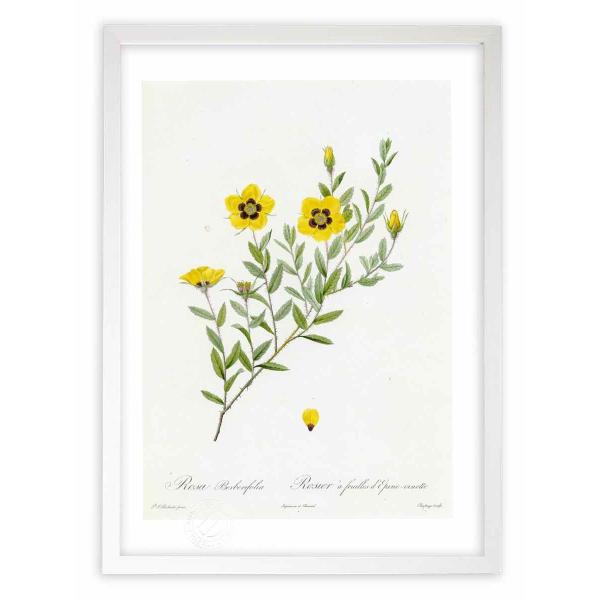 ŉ G惍TExxtHA hD[e CeA Ǌ|  A G A[g A[gpl rO  v[g _ 