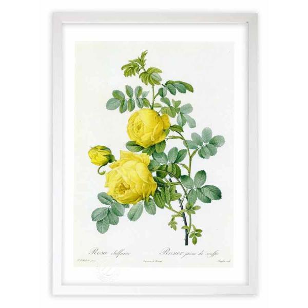 ŉ G惍TEXtA hD[e CeA Ǌ|  A G A[g A[gpl rO  v[g _ 