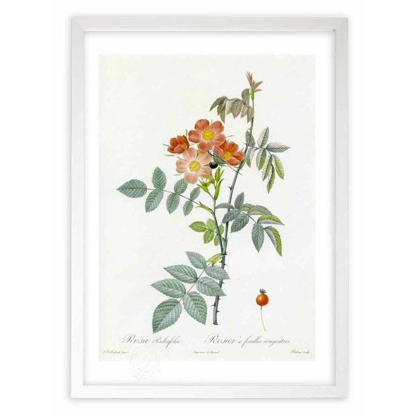 ŉ G惍TEutHA hD[e CeA Ǌ|  A G A[g A[gpl rO  v[g _ 