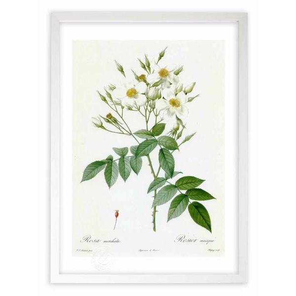 ŉ G惍TEXJ[^ hD[e CeA Ǌ|  A G A[g A[gpl rO  v[g _ 