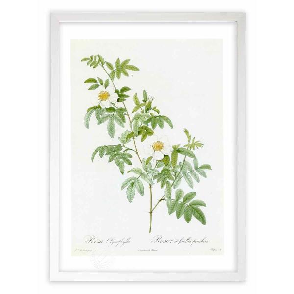 ŉ G惍TENmtB hD[e CeA Ǌ|  A G A[g A[gpl rO  v[g _ 