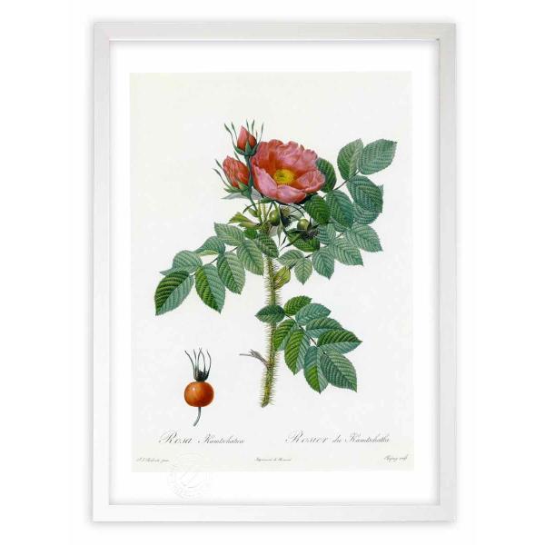 ŉ G惍TEJ`eBJ hD[e CeA Ǌ|  A G A[g A[gpl rO  v[g _ 