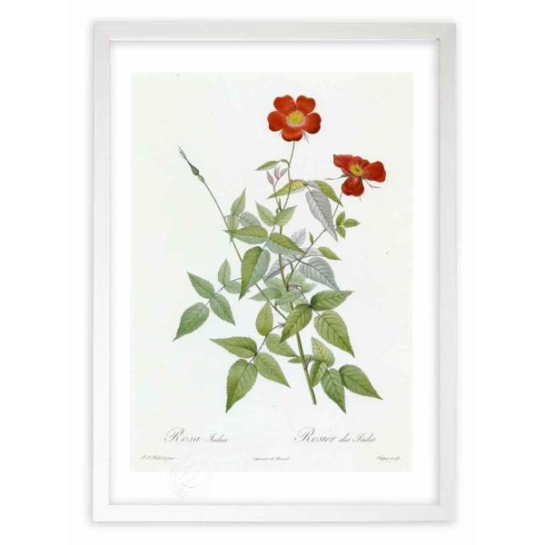 ŉ G惍TECfBJ hD[e CeA Ǌ|  A G A[g A[gpl rO  v[g _ 