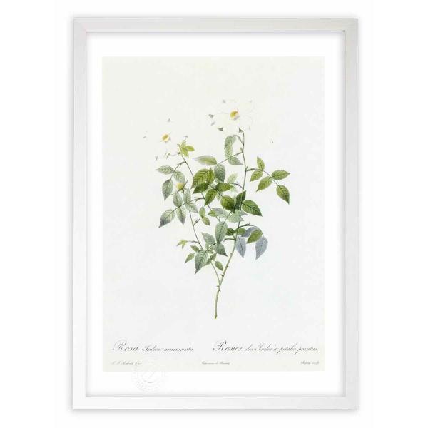 ŉ G惍TECfBJEAN~i[^ hD[e CeA Ǌ|  A G A[g A[gpl rO  v[g _ 