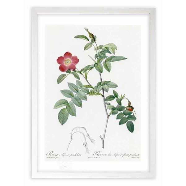 ŉ G惍TEAsiEyhDi hD[e CeA Ǌ|  A G A[g A[gpl rO  v[g _ 