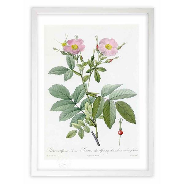 ŉ G惍TEAsiEGEBX hD[e CeA Ǌ|  A G A[g A[gpl rO  v[g _ 