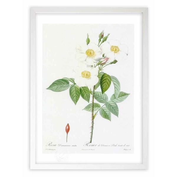 ŉ G惍TE_}XPiEXoo hD[e CeA Ǌ|  A G A[g A[gpl rO  v[g _ 