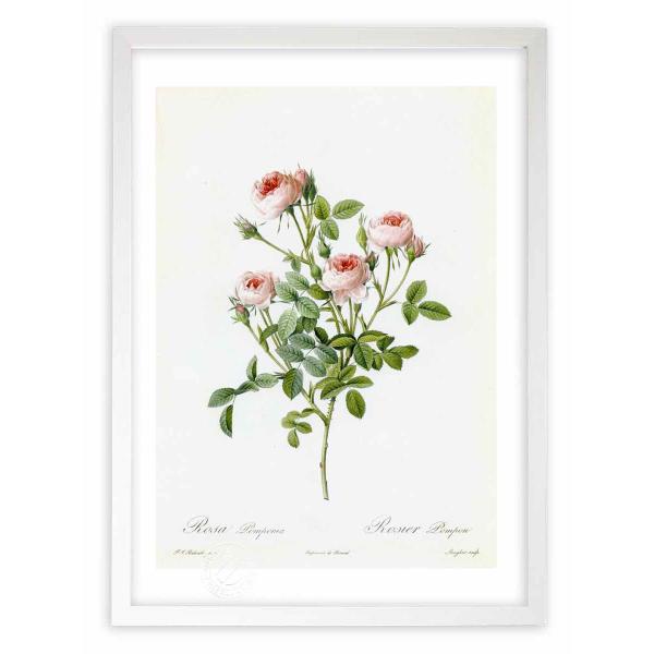 ŉ G惍TE||jA hD[e CeA Ǌ|  A G A[g A[gpl rO  v[g _ 