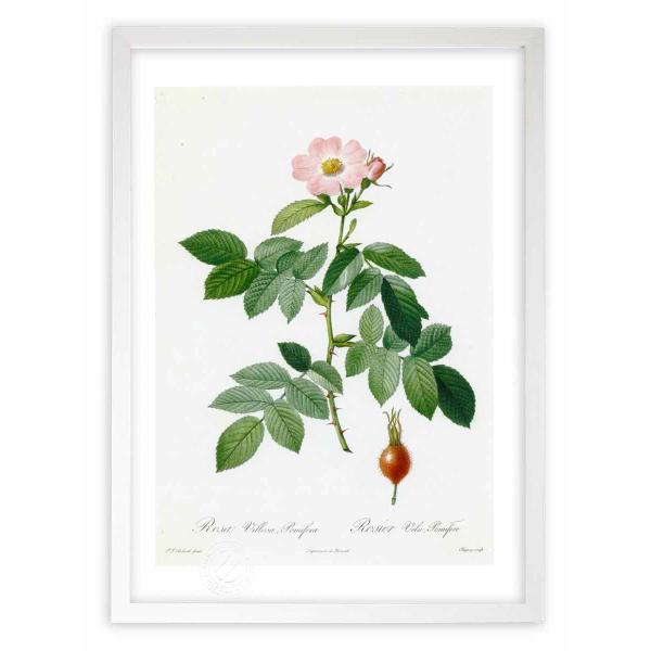 ŉ G惍TEEB[TA|~tF hD[e CeA Ǌ|  A G A[g A[gpl rO  v[g _ 