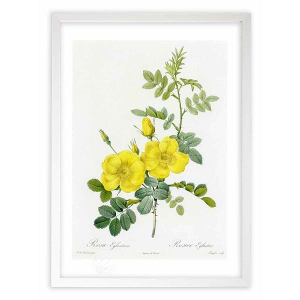 ŉ G惍TEGOeA hD[e CeA Ǌ|  A G A[g A[gpl rO  v[g _ 