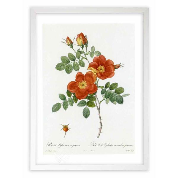 ŉ G惍TEGOeA hD[e CeA Ǌ|  A G A[g A[gpl rO  v[g _ 