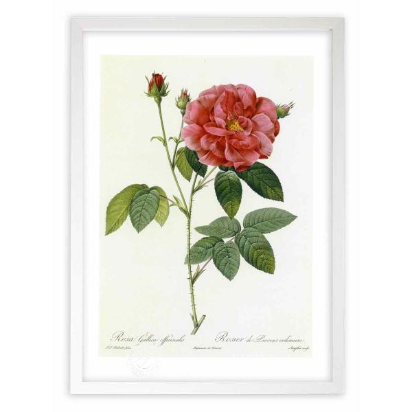 ŉ G惍TEKJEItBLi[X hD[e CeA Ǌ|  A G A[g A[gpl rO  v[g _ 