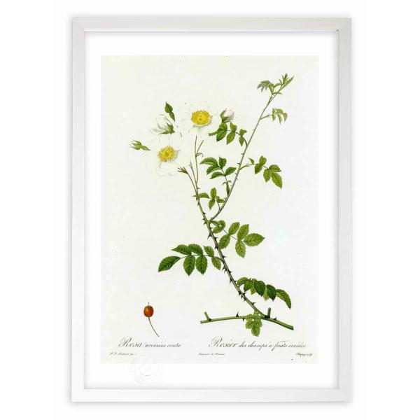 ŉ G惍TEAEFVXEIE@[^ hD[e CeA Ǌ|  A G A[g A[gpl rO  v[g _ 