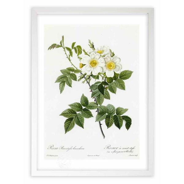 ŉ G惍TEuEBXeBEERNA hD[e CeA Ǌ|  A G A[g A[gpl rO  v[g _ 