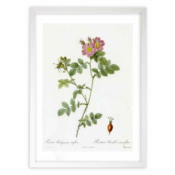 ŉ G惍TErMm[TEgDt[ hD[e CeA Ǌ|  A G A[g A[gpl rO  v[g _ 