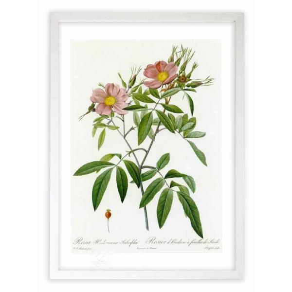 ŉ G惍TEnh\jA[iETLtHA hD[e CeA Ǌ|  A G A[g A[gpl rO  v[g _ 