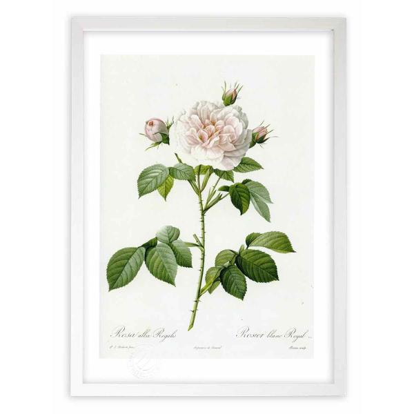 ŉ G惍TEAoEKX hD[e CeA Ǌ|  A G A[g A[gpl rO  v[g _ 