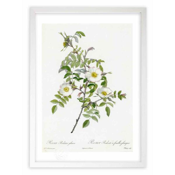 ŉ G惍TEhD[eAEOEJ hD[e CeA Ǌ|  A G A[g A[gpl rO  v[g _ 