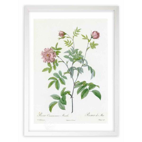 ŉ G惍TELiAE}CAX hD[e CeA Ǌ|  A G A[g A[gpl rO  v[g _ 