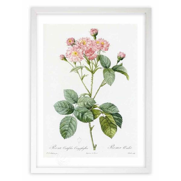 ŉ G惍TEPeBtHAEJItBA hD[e CeA Ǌ|  A G A[g A[gpl rO  v[g _ 