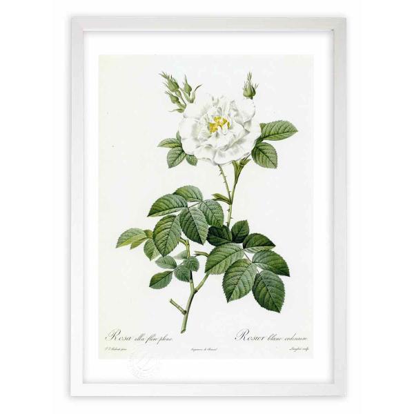 ŉ G惍TEAoEt[Evm hD[e CeA Ǌ|  A G A[g A[gpl rO  v[g _ 