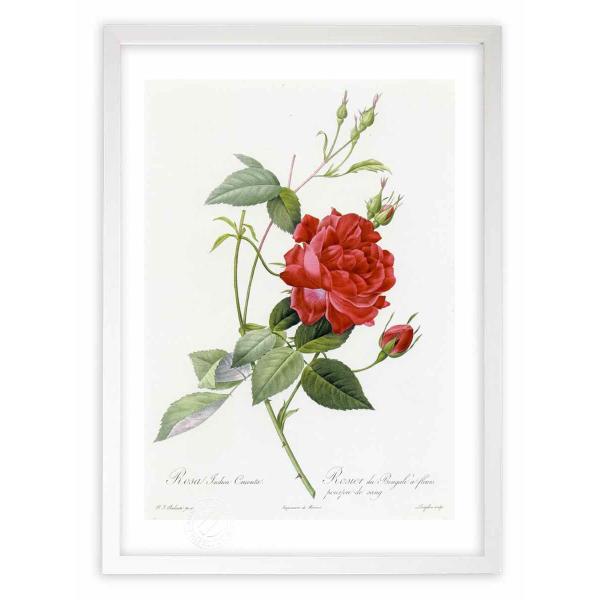 ŉ G惍TECfBJENG^ hD[e CeA Ǌ|  A G A[g A[gpl rO  v[g _ 