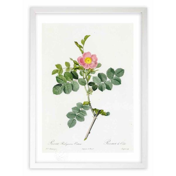 ŉ G惍TErMm[TENeBJ hD[e CeA Ǌ|  A G A[g A[gpl rO  v[g _ 