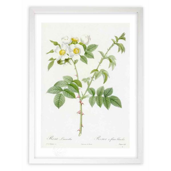 ŉ G惍TEEJ^ hD[e CeA Ǌ|  A G A[g A[gpl rO  v[g _ 