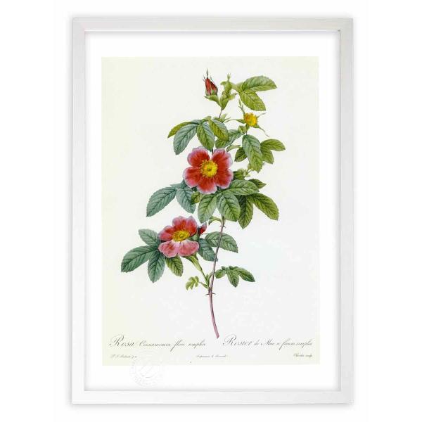 ŉ G惍TELiAEt[EVvL hD[e CeA Ǌ|  A G A[g A[gpl rO  v[g _ 