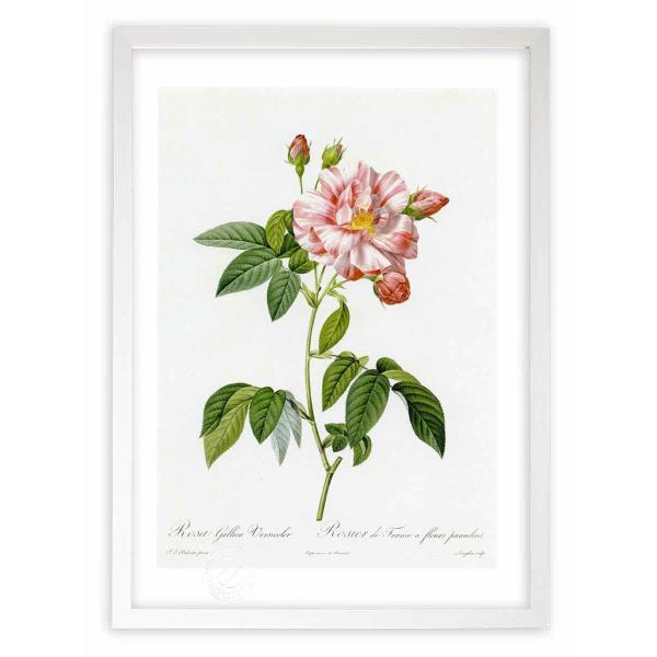 ŉ G惍TEKJEEFVR[ hD[e CeA Ǌ|  A G A[g A[gpl rO  v[g _ 