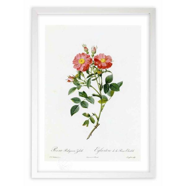 ŉ G惍TErMm[TEUxg hD[e CeA Ǌ|  A G A[g A[gpl rO  v[g _ 