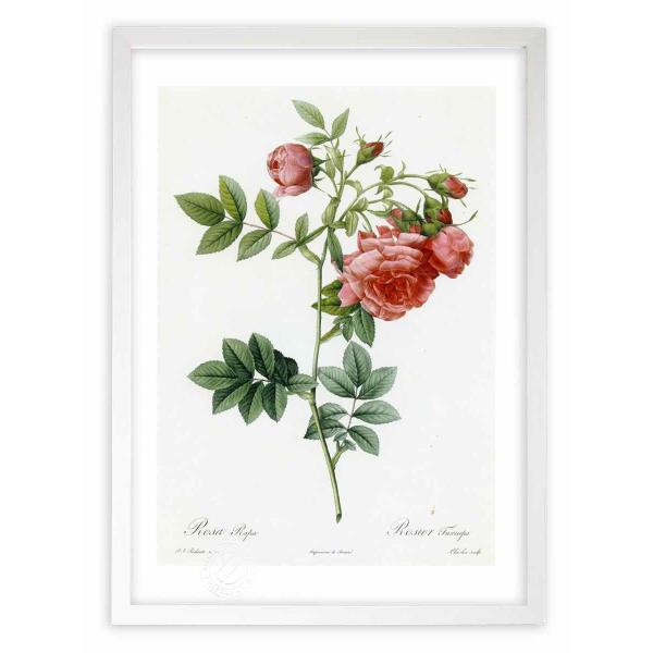 ŉ G惍TE[p hD[e CeA Ǌ|  A G A[g A[gpl rO  v[g _ 