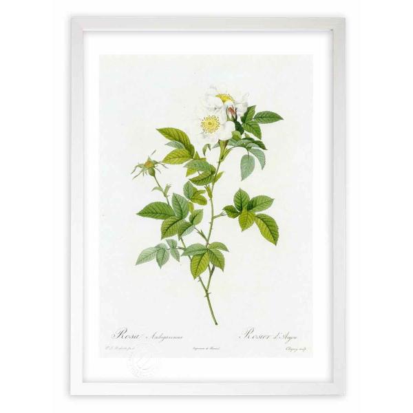 ŉ G惍TEAfK@VX hD[e CeA Ǌ|  A G A[g A[gpl rO  v[g _ 