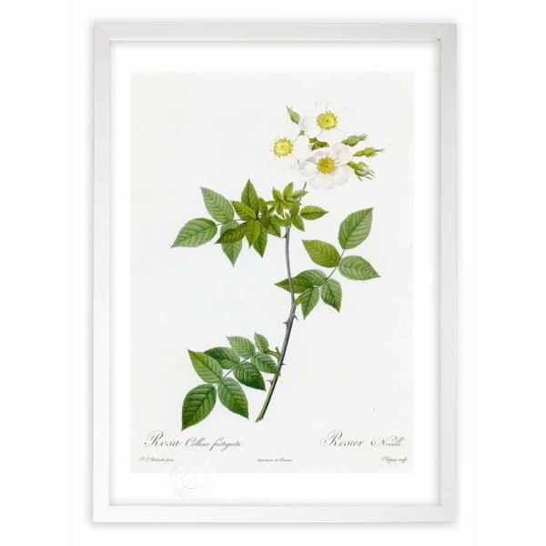 ŉ G惍TERiEt@XeBMA[^ hD[e CeA Ǌ|  A G A[g A[gpl rO  v[g _ 