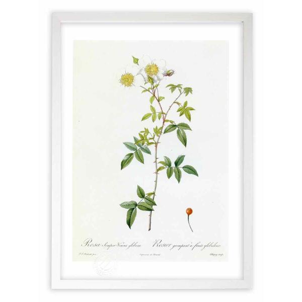 ŉ G惍TEZyEBXEO{[T hD[e CeA Ǌ|  A G A[g A[gpl rO  v[g _ 