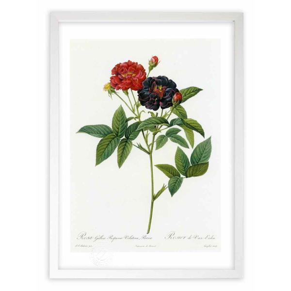 ŉ G惍TEKJEvvAEEFeBiApE@ hD[e CeA Ǌ|  A G A[gpl rO  v[g _ 