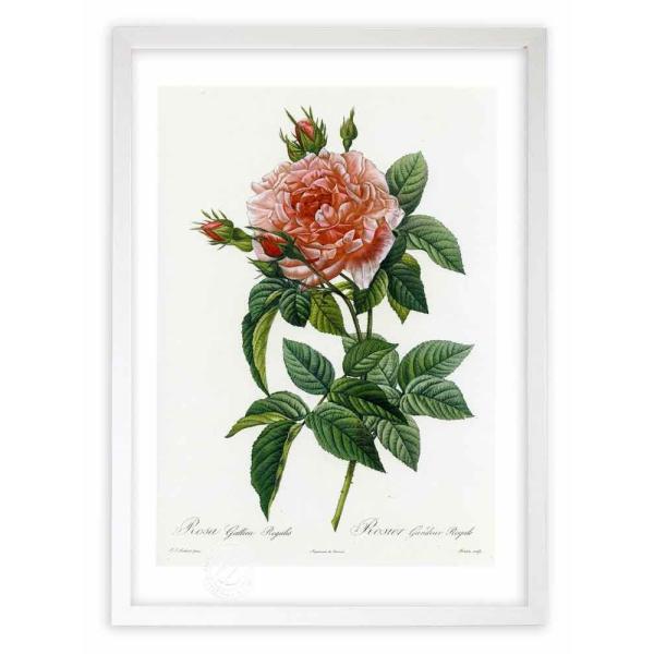 ŉ G惍TEKJEKX hD[e CeA Ǌ|  A G A[g A[gpl rO  v[g _ 