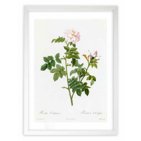 ŉ G惍TEIxbTlA hD[e CeA Ǌ|  A G A[g A[gpl rO  v[g _ 