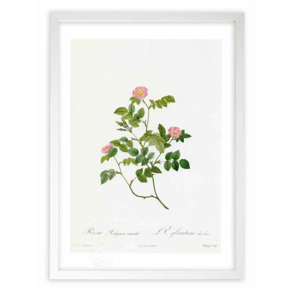 ŉ G惍TErMm[TEl[X hD[e CeA Ǌ|  A G A[g A[gpl rO  v[g _ 