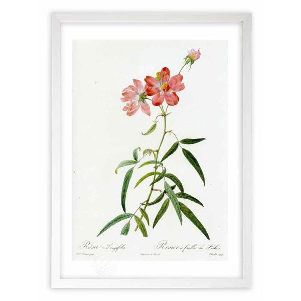 ŉ G惍TEMtHA hD[e CeA Ǌ|  A G A[g A[gpl rO  v[g _ 