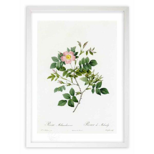 ŉ G惍TE}_GVX hD[e CeA Ǌ|  A G A[g A[gpl rO  v[g _ 